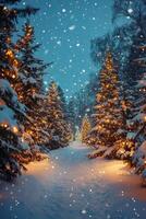 Enchanting winter pathway lined with snow covered trees illuminated by festive lights photo