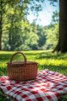 A cozy picnic setup with a woven basket on a red and white checkered blanket in a sunny park photo