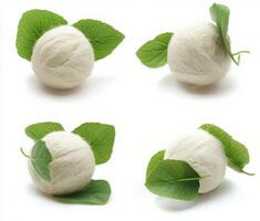 Natural arrangement of cotton surrounded by green and brown leaves on a white background photo