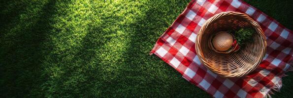 A woven basket rests on vibrant green grass with a red and white checkered cloth inside photo