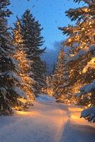 Enchanting winter pathway lined with snow covered trees illuminated by festive lights photo