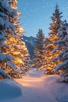 Enchanting winter pathway lined with snow covered trees illuminated by festive lights photo