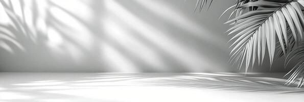 Delicate shadows cast by palm leaves in soft natural light creating a serene interior atmosphere photo