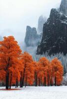 Autumn foliage mixed with winter snow in a tranquil mountain landscape during overcast weather photo