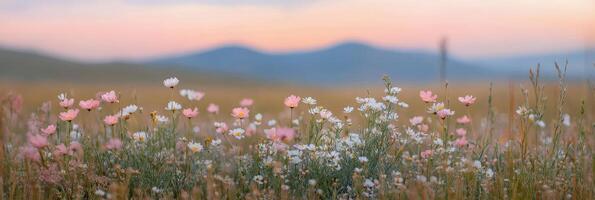 Delicate wildflowers bloom in a serene valley during golden hour photo