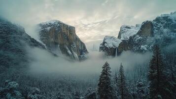 Snow covered valley in Yosemite National Park during a foggy winter morning photo