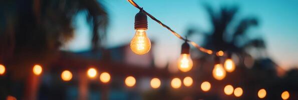 String lights glowing against a colorful sunset sky during an evening gathering photo