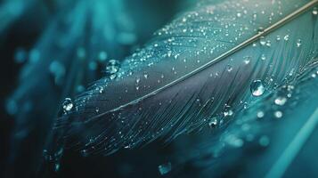 Raindrops glisten on a delicate feather resting on a soft surface in a serene environment photo
