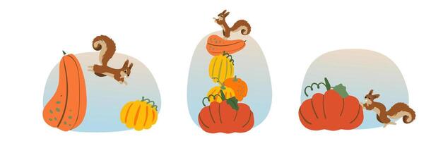 Set autumn with squirrel jumping on pumpkins. Perfect for a Thanksgiving decoration, Harvest Day, invitation, greeting cards. vector