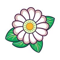 illustration of a flower on whit background vector