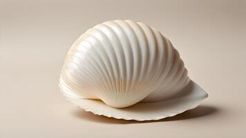 Single Shell Neutral Setting photo
