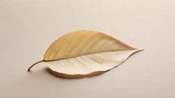 Delicate Leaf Soft Resting photo