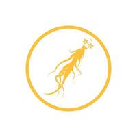 Ginseng logo design template and symbol icon vector