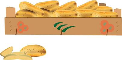 Potatoes in a wooden crate being stored for winter vector