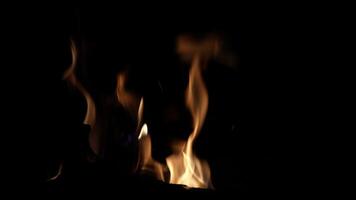 Flickering flames dance, illuminating swaying shadows, devouring the wood with insatiable appetite, creating a mesmerizing sight video