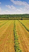 Beautiful natural environment on the field in summer. Drone view over the field with a tractor working on a grassland during sunny day. Vertical video