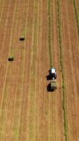 View from above on the field during seasonal works. Tractor gathering dry grass for livestock on the field background in summer. Aerial view. Vertical video
