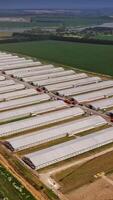 Aerial view on a farm surrounded with agriculture fields. Big territory with many modern buildings for poultry on a sunny summer day. Vertical video