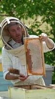 Male apiarist took a frame full of ripe honey out of hive. Man twists the frame in his hands and takes it to another box. Vertical video