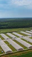 Amazing view of large farm on the natural background. Aerial view of a modern farming complex for livestock in summer. Slow motion. Vertical video