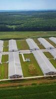 Flying near the modern farm for poultry in rural place. Aerial view to the new agricultural complex for farming in a sunny day. Vertical video