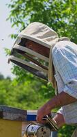 Apiarist holding special instruments for bee faming in hands. Bee farmer inspecting the bee hives on sunny summer day. Vertical video