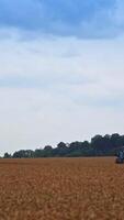 Agricultural machines moving in the wheat field. Track heading to the combine harvester. Work in the field in the end of the day. Vertical video