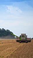 Combine harvester standing in the field and waiting for tractor arrival. Stork walking in the field near the machinery. Green trees at the backdrop. Vertical video