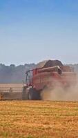 Combine harvester working on the ripe field. Clouds of dust covering the grain field. Harvesting season on agricultural plantation. Vertical video