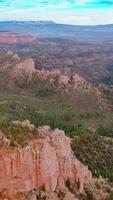 Panning view of the beautiful rocks in Utah, USA. Pine tree forest covering the landscape at the backdrop of blue sky. Vertical video