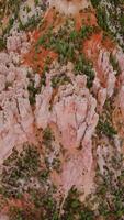 Slow descending over the tremendous rocks of Bryce Canyons in Utah, United States. Little pine trees grooving on the slopes of wonderful landscape. Top view. Vertical video