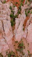 Admirable scenery of outlandish rocks of Bryce canyon in Utah, USA. High mountains and land covered with pine trees. Top view. Vertical video