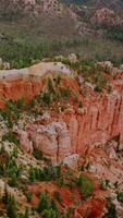 Bryce National park in Utah, USA. Superb canyons with pine trees growing on them and at the foot of the rocks. Aerial view. Vertical video