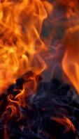 Burning flame close up view. Close up of a large bonfire and textured log video