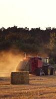 Tractor at work on a field. Universal tractor harvesting straw in the field video