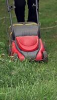 Lawn mower cutting grass in the garden. Lawn mower mows green grass on the backyard in summer. Worker mowing lawn with electric machine. Vertical video