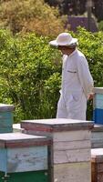 Beekeeper in white clothes walks along his bee farm. Numerous bees fly around the apiary. Nature backdrop on sunny weather. Vertical video