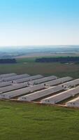 Farm barns in plain rows at modern agricultural plant. Up-to-date farming facility for breeding animals. Another farm at backdrop. Top view. Vertical video