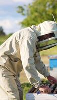 Man in special protective outfit working on his bee farm. Beekeeper pulls a full frame out of hive rising it to the level of his eyes. Blurred backdrop. Vertical video