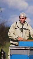 Caucasian adult man working in the rural apiary locating in the nature backdrop. Beekeeper checking up the frames using tools. Vertical video