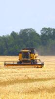 Seasonal works on yellow field. Harvesting crop on field with combine in summer. Modern combine harvester working on wheat field. Vertical video