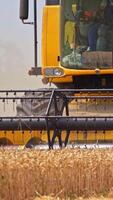 Huge mowing machine cuts the ripe wheat spikelets. Big yellow combine harvester approaching the camera. Spinning mowing mechanism close up. Vertical video