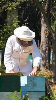 Professional beekeeper on apiary in summer. Male apiarist in special suit and hat working near beehives. Man putting frames into the hive. Vertical video