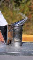 Bee smoker on apiary. Beekeeper working with hives uses chimney with smoke to protect from bees. Beekeeping process in summer nature. Vertical video