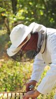Apiary in the middle of the forest. Male beekeeper in white protective suit, slightly leans towards the hive, and taking out frame. Smoking smoker on the lid of the hive. Vertical video
