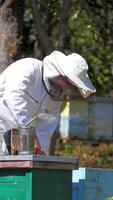 Experienced beekeeper in protective uniform on apiary. Man apiarist examining bees in beehives among green nature. Apiculture business. Honey production. Vertical video