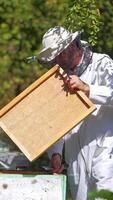 Apiarist near hives. Male beekeeper in white protective uniform and hat looks after bees on the background of many beehives in the forest. Vertical video