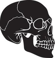 Creepy Skull Illustration for Halloween Projects vector