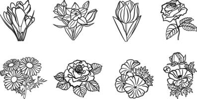 Set of Flowers for Coloring. Illustration of Crocus, Rose, Buttercup, Narcissus, Tulip, Chamomile and Geranium vector