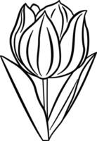 Tulip Flower for Coloring Page. Spring Flower. Illustration of a Blooming Tulip with Leaves vector